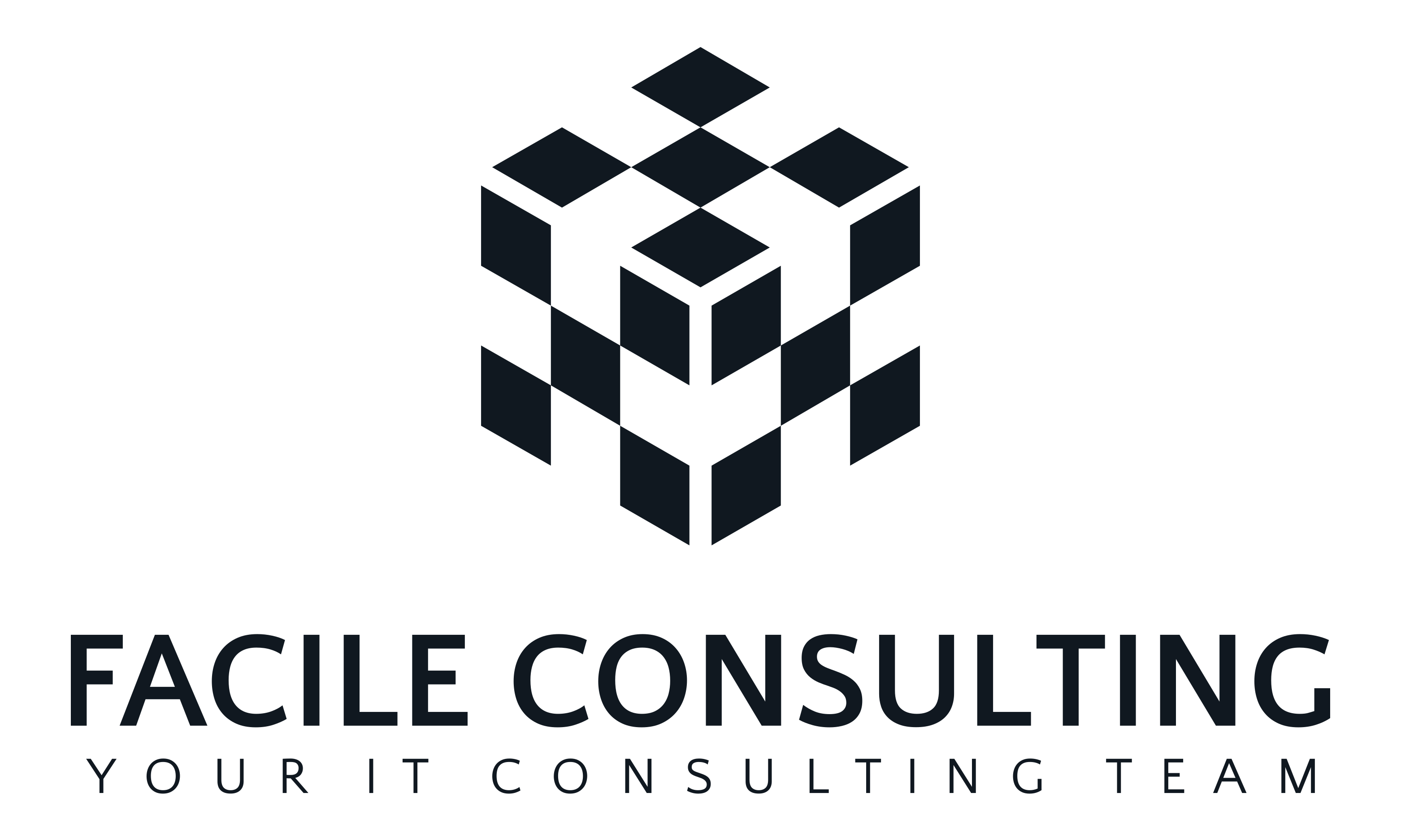Facile Consulting